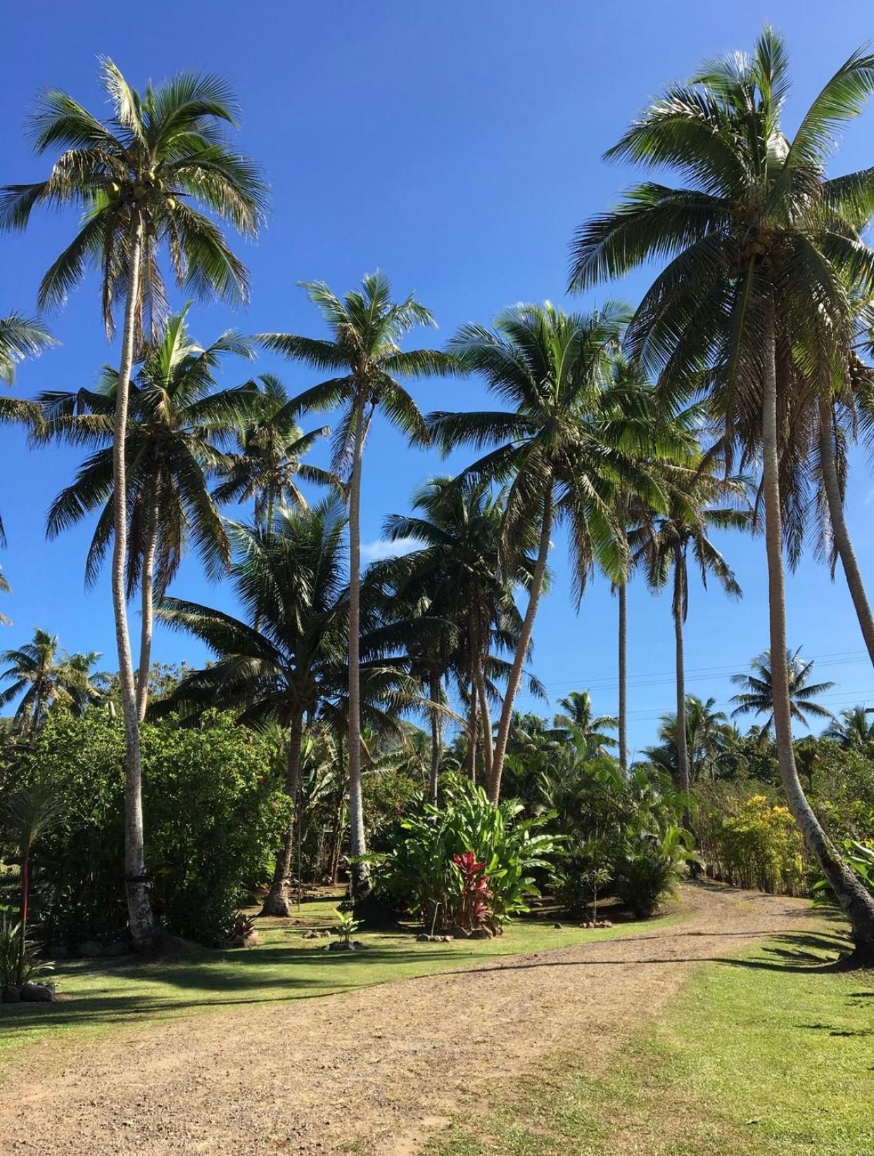 Island Breeze Fiji Villa Savusavu Rum bild