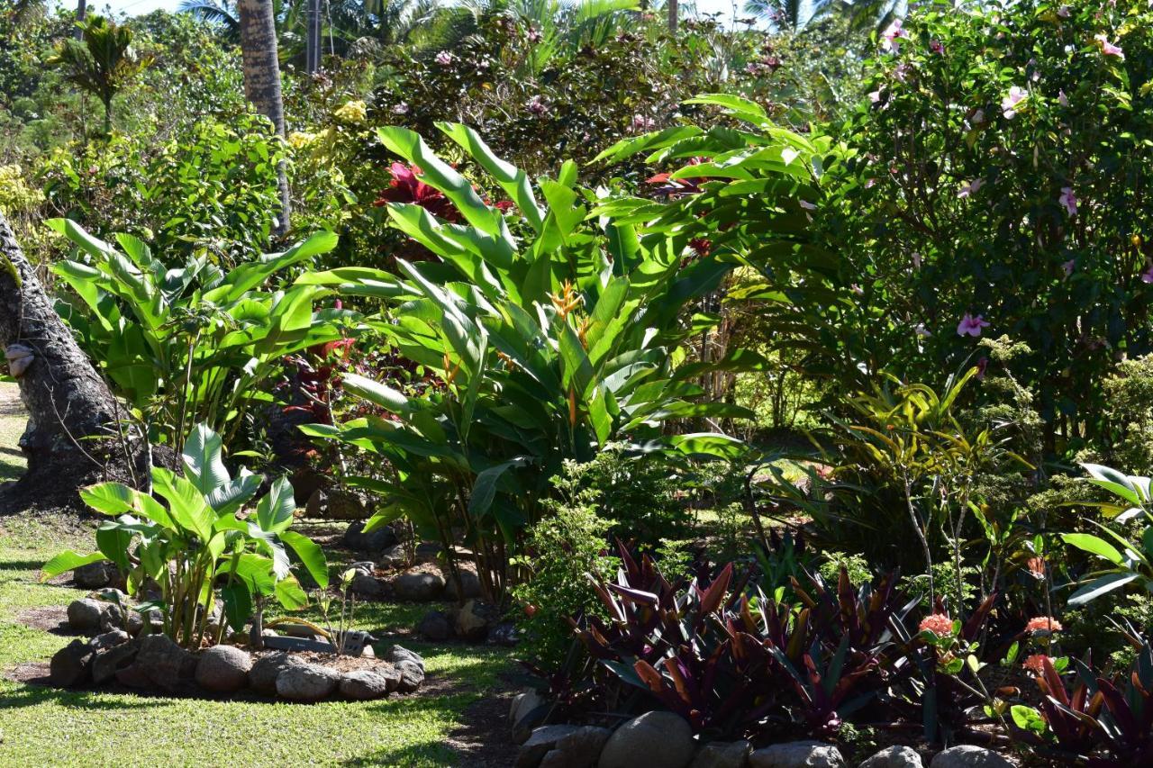Island Breeze Fiji Villa Savusavu Exteriör bild